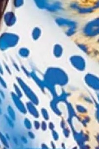 Shan Blue Africa Full coverage high waist bikini bottom