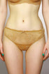Ambra Brief