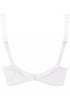Antigel C37 Tressage Graphic 3 Parts Full Cup