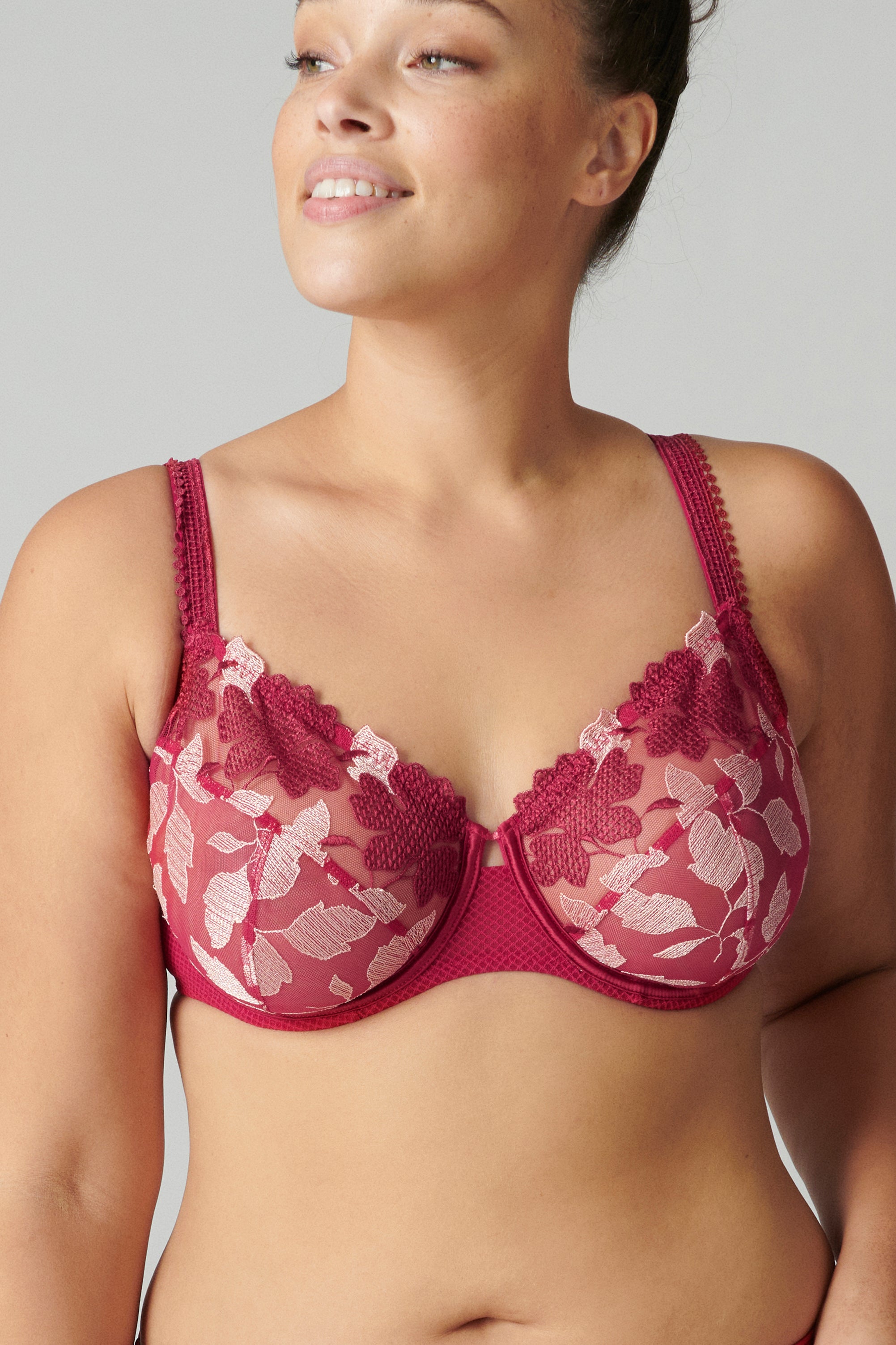 Women Bras 6 pack of Bra with all lace D DD cup, Size 36D (S6304)
