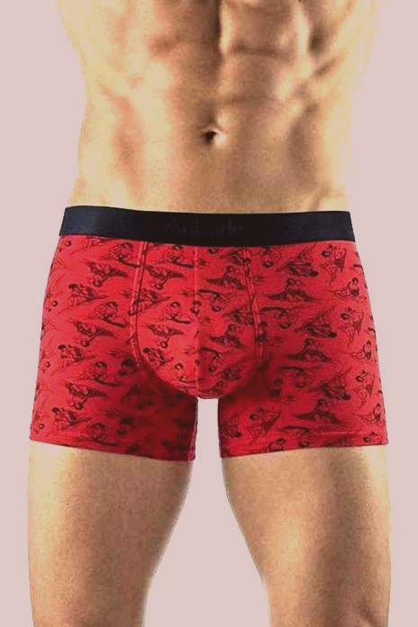 Aubade homme trunk Mappemonde M XL – Intimo Boutique