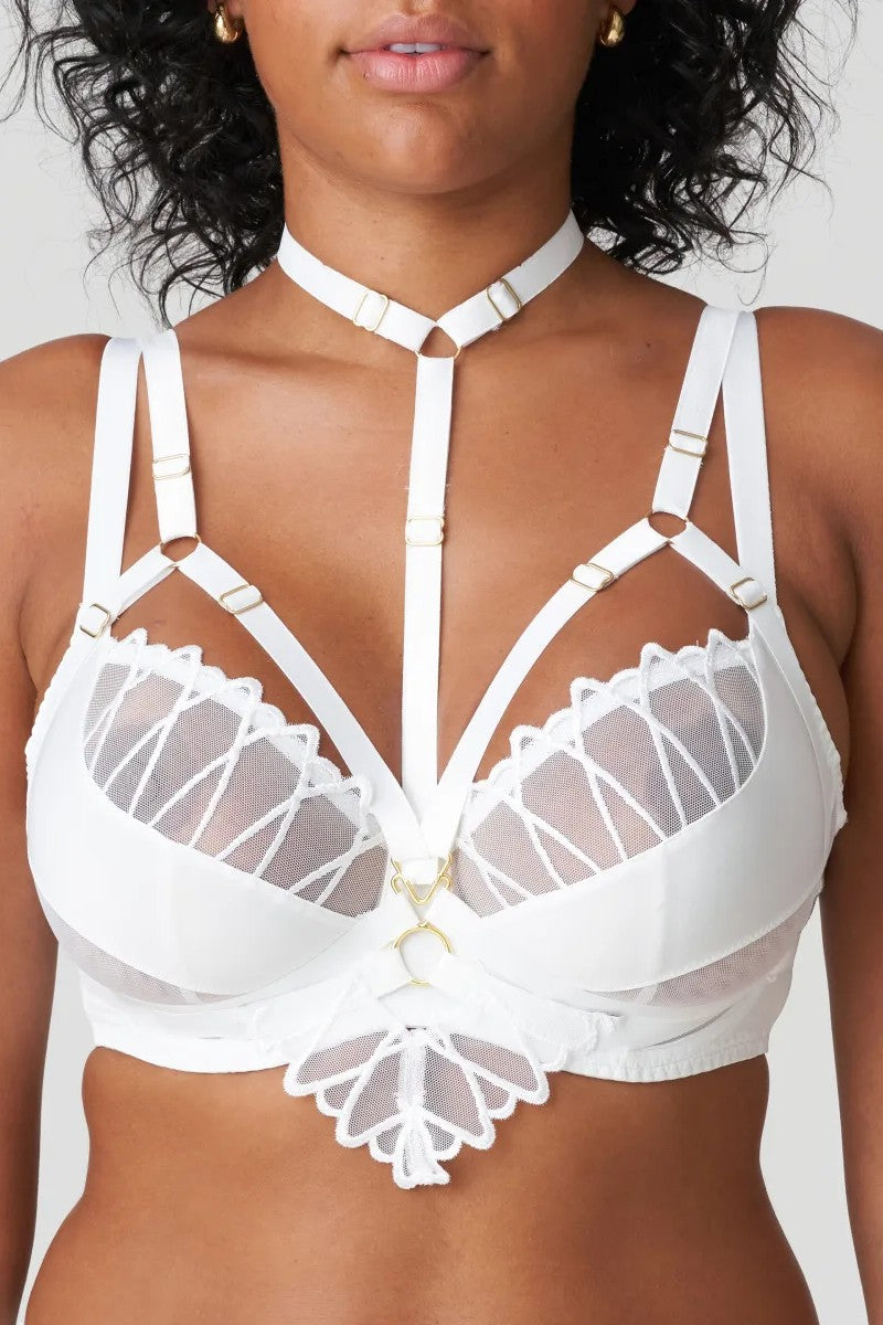 PrimaDonna: buy brand products at Bralissimo Canada and